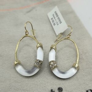 Alexis Bittar Gold & Silver Lucite Crystal Oval Drop Earrings